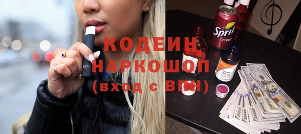 ПСИЛОЦИБИНОВЫЕ ГРИБЫ Арсеньев