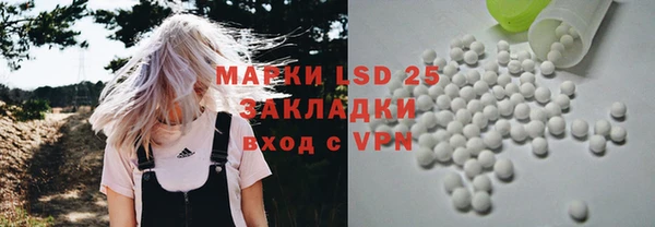 ПСИЛОЦИБИНОВЫЕ ГРИБЫ Арсеньев