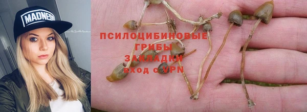 молекула духа Армянск