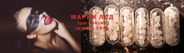 ПСИЛОЦИБИНОВЫЕ ГРИБЫ Арсеньев