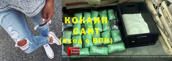 ПСИЛОЦИБИНОВЫЕ ГРИБЫ Арсеньев