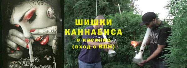 ПСИЛОЦИБИНОВЫЕ ГРИБЫ Арсеньев