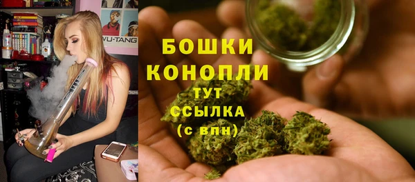 ПСИЛОЦИБИНОВЫЕ ГРИБЫ Арсеньев